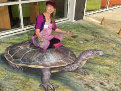 Easten Snake Necked Turtle 3d pavement sidewalk art Ulla Taylor at art week school Kingswood College Box Hill.jpg (118996 bytes)